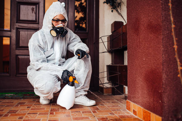Reliable Wasp Removal contractor in Sheboygan, WI by Show Me Pest Control